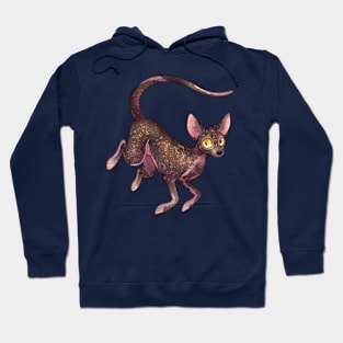 Cozy Lykoi Cat Hoodie